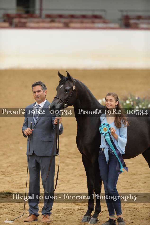 Proof 19R2_00534