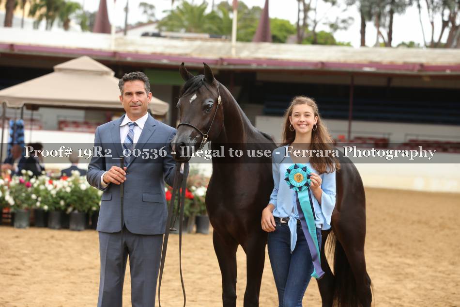 Proof 19R2_00536