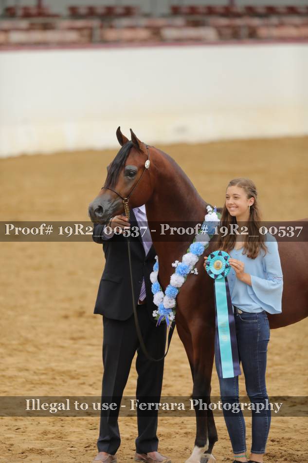 Proof 19R2_00537