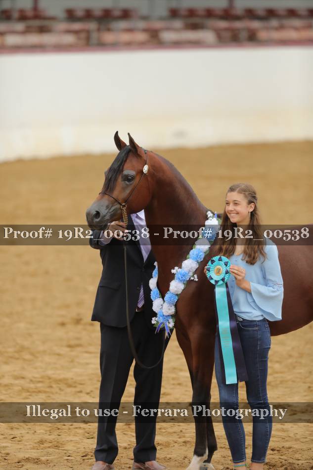 Proof 19R2_00538