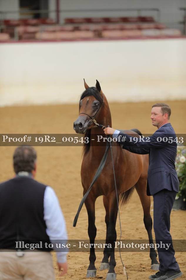 Proof 19R2_00543