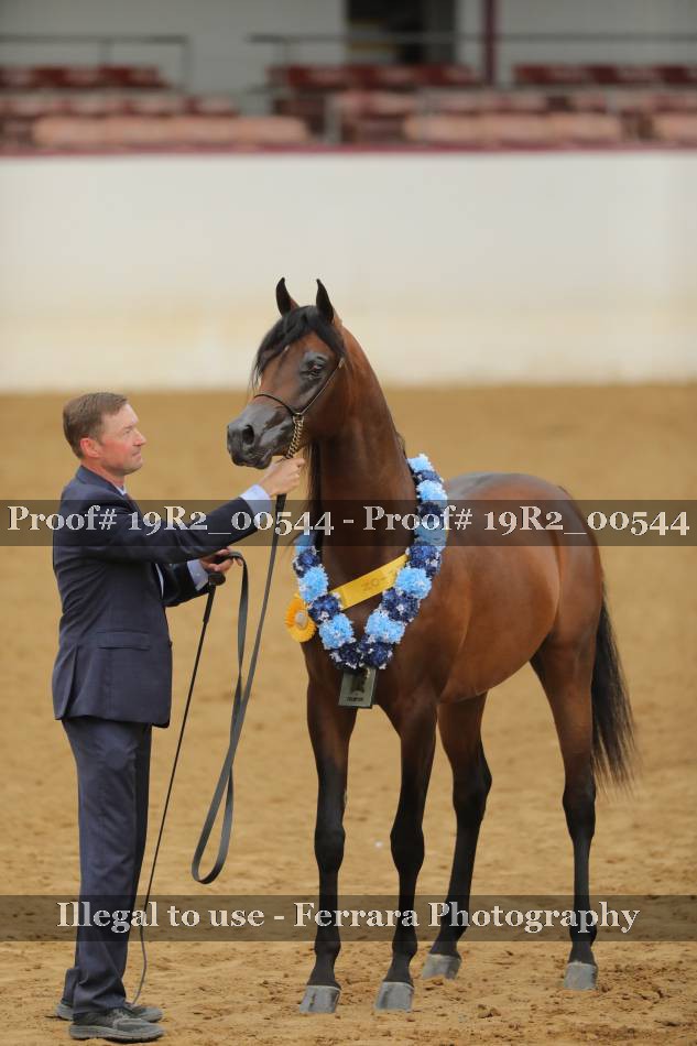 Proof 19R2_00544