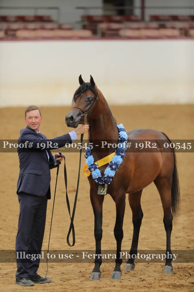 Proof 19R2_00545