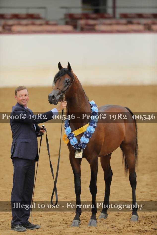 Proof 19R2_00546