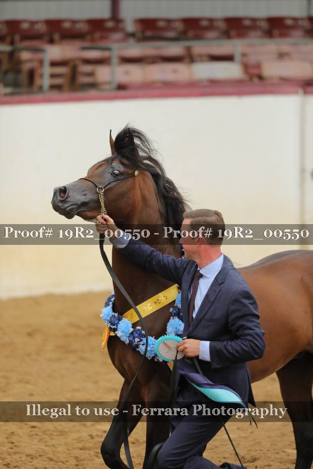 Proof 19R2_00550