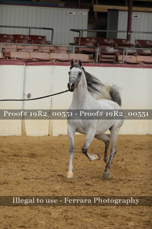 Proof 19R2_00551