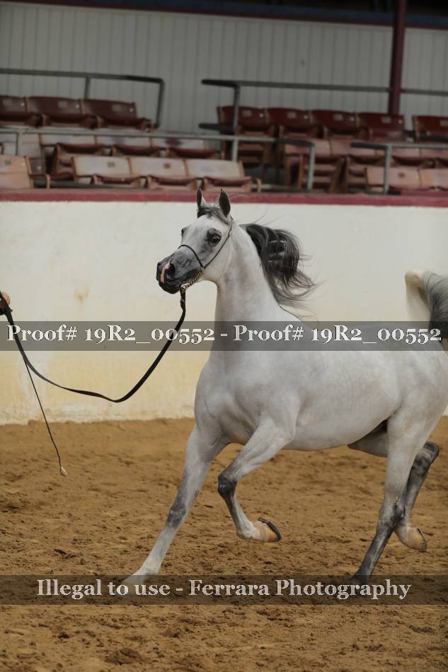Proof 19R2_00552