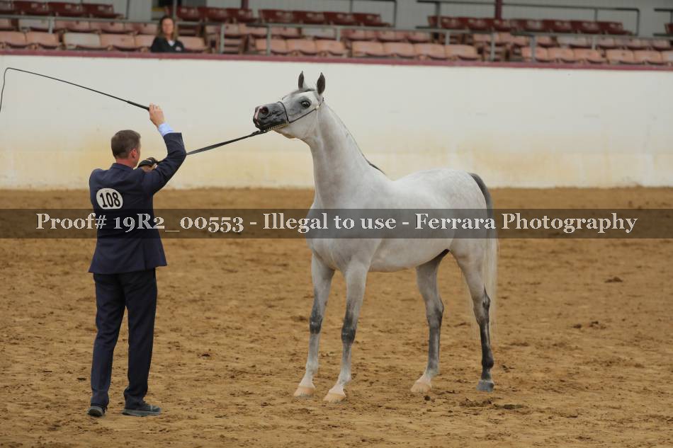 Proof 19R2_00553