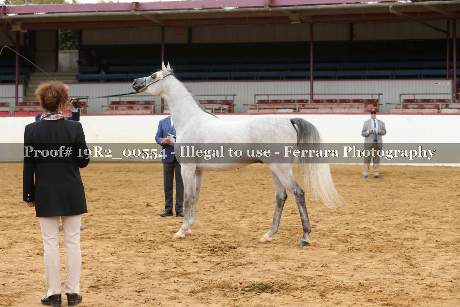 Proof 19R2_00554