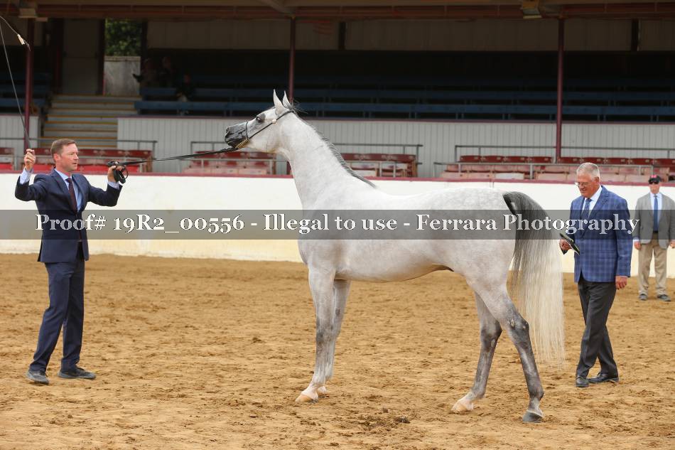 Proof 19R2_00556