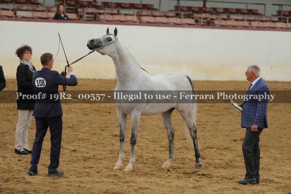 Proof 19R2_00557
