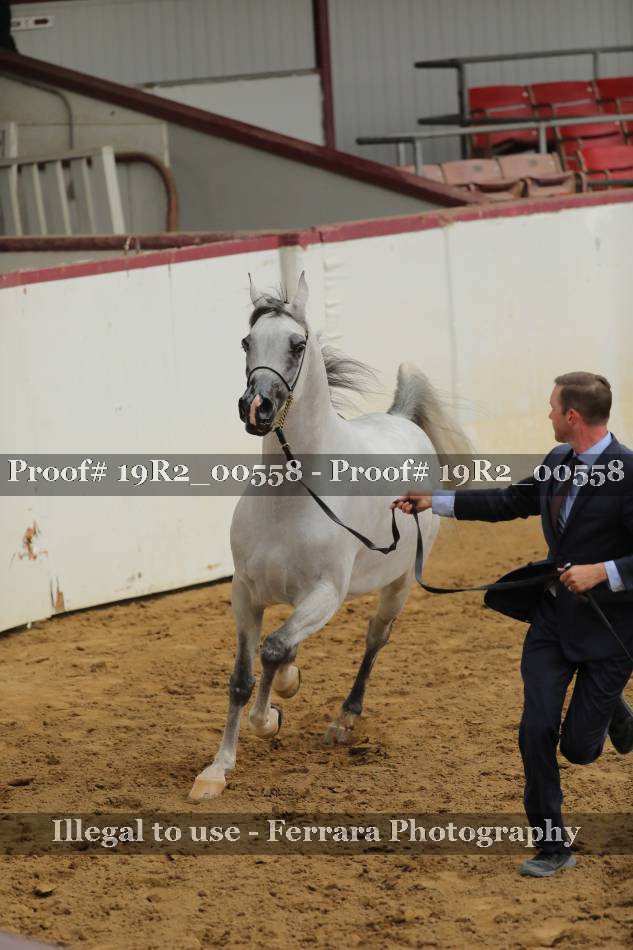 Proof 19R2_00558