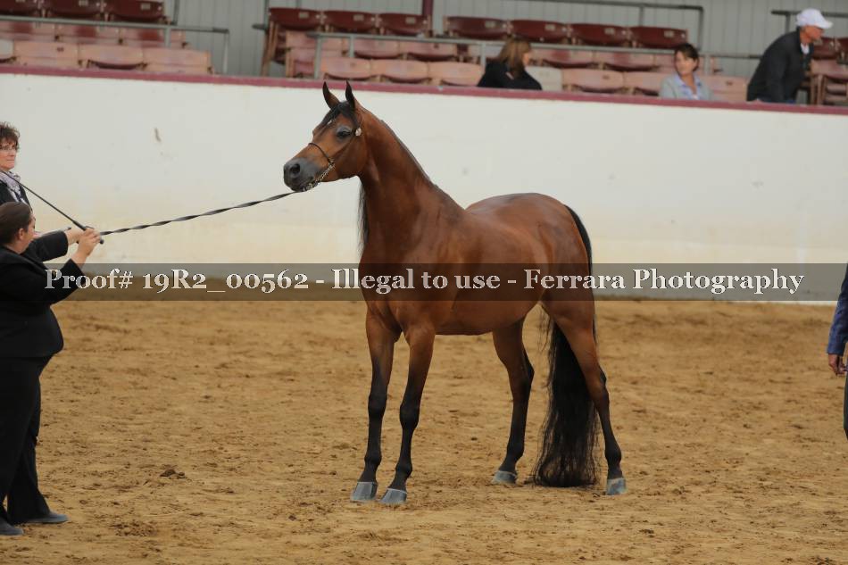 Proof 19R2_00562