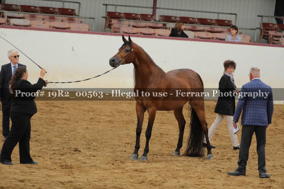 Proof 19R2_00563