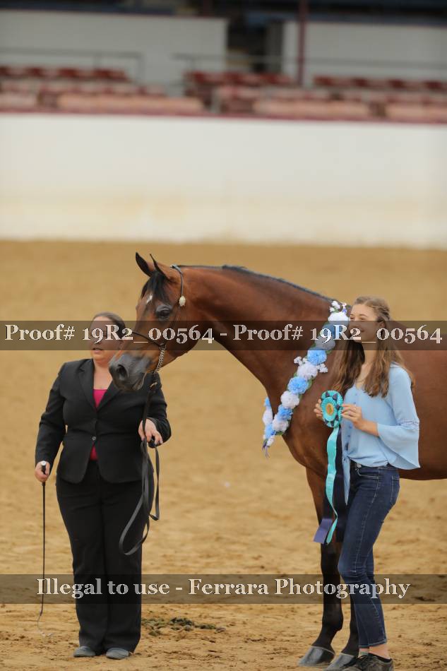 Proof 19R2_00564
