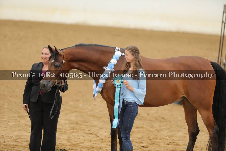 Proof 19R2_00565