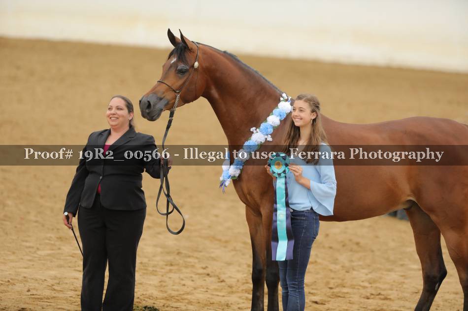 Proof 19R2_00566
