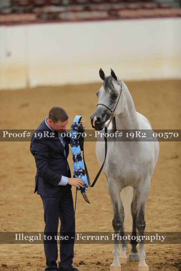 Proof 19R2_00570