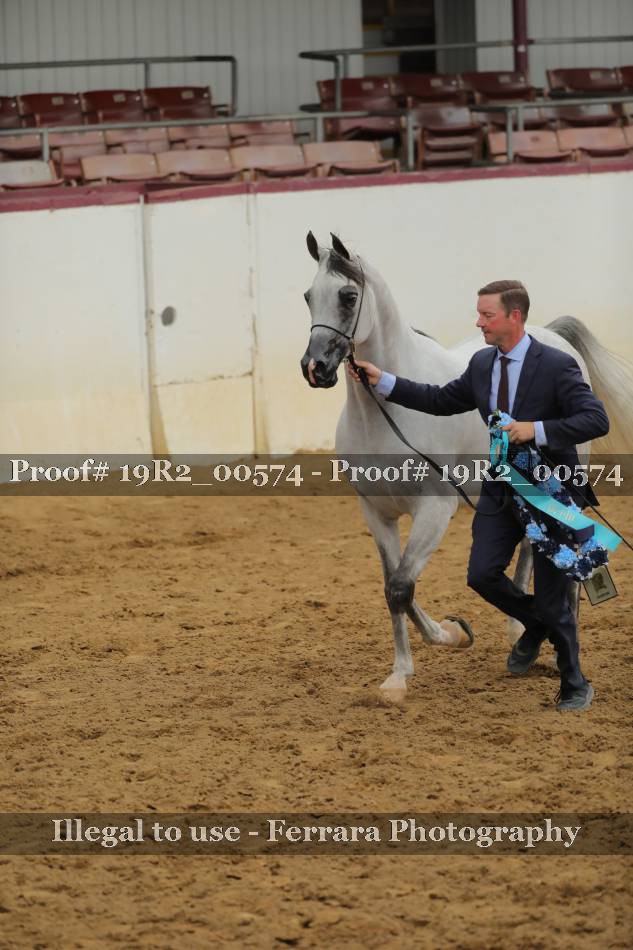Proof 19R2_00574