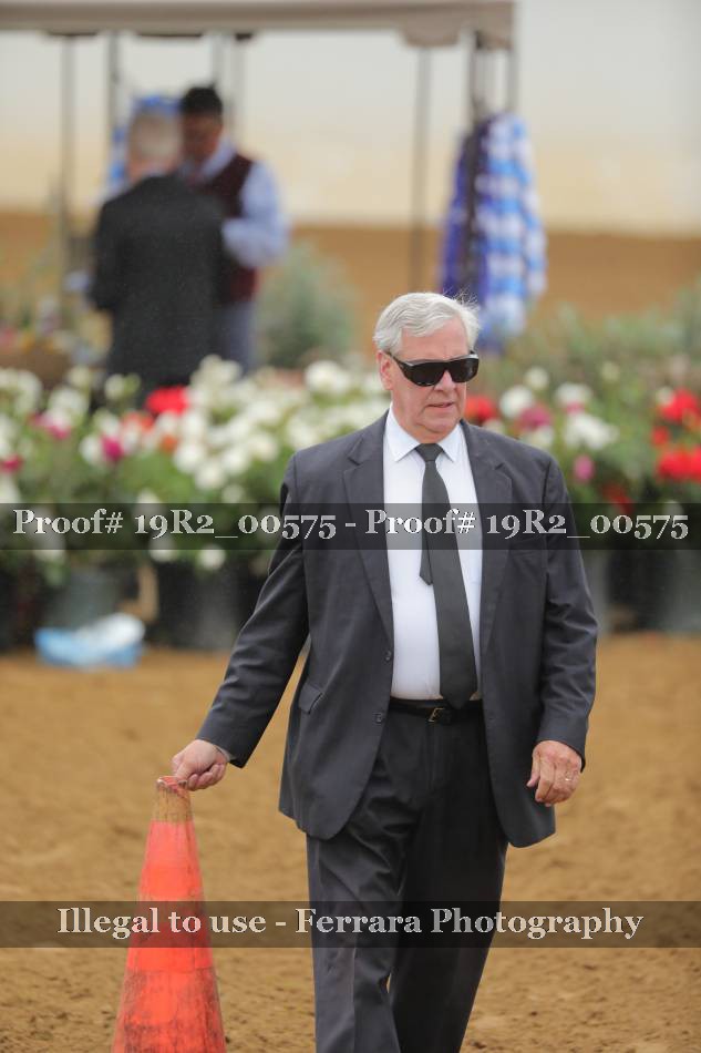 Proof 19R2_00575