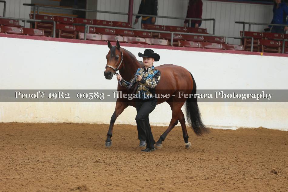 Proof 19R2_00583