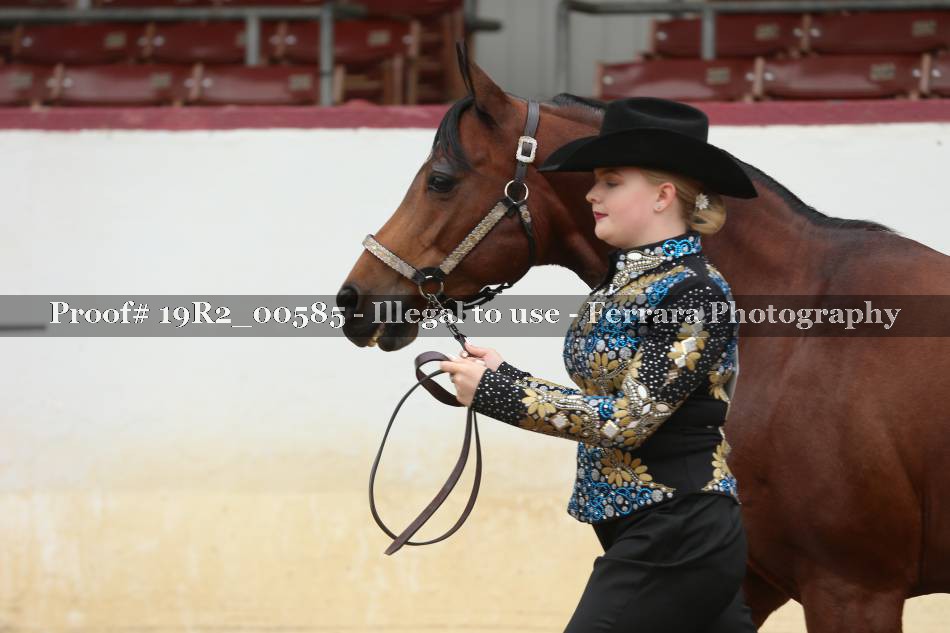 Proof 19R2_00585