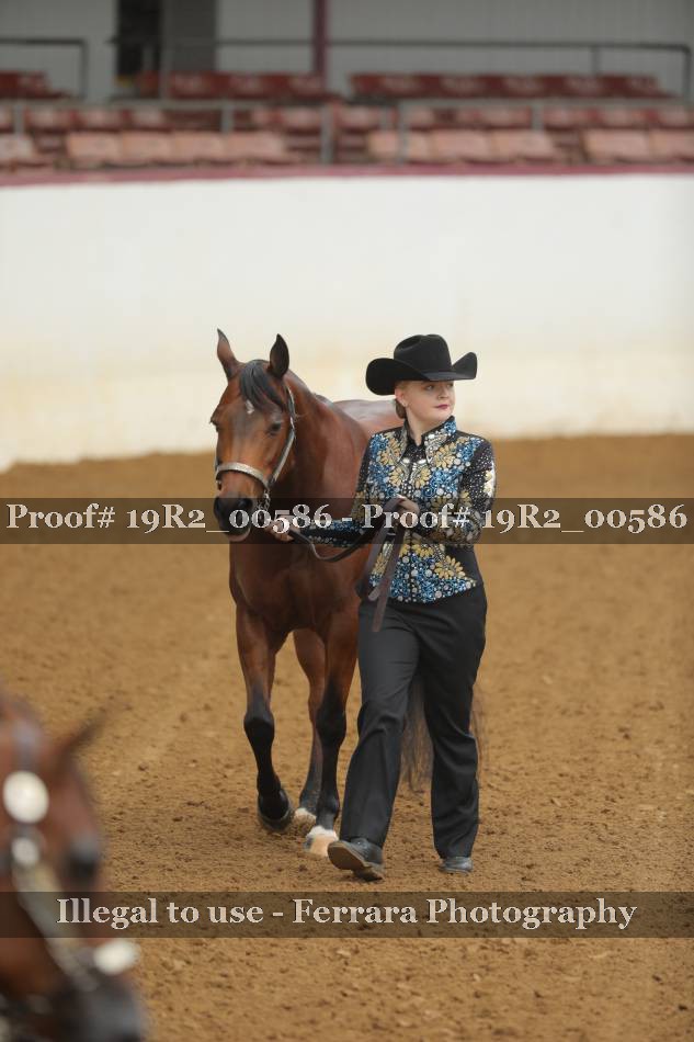Proof 19R2_00586