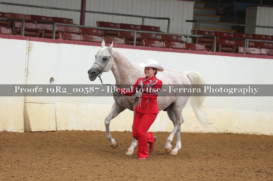 Proof 19R2_00587