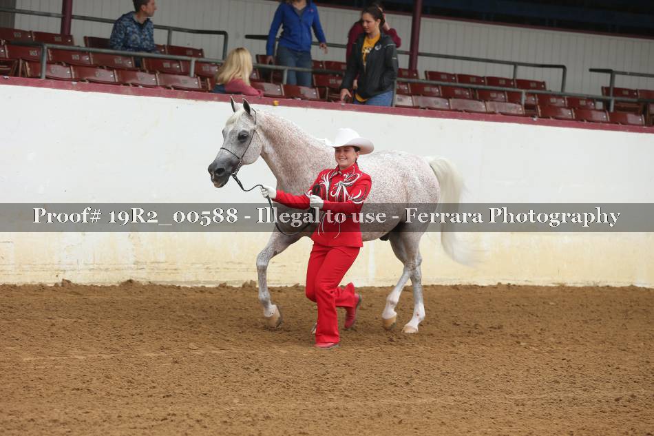 Proof 19R2_00588