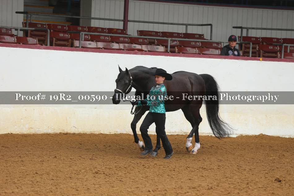 Proof 19R2_00590