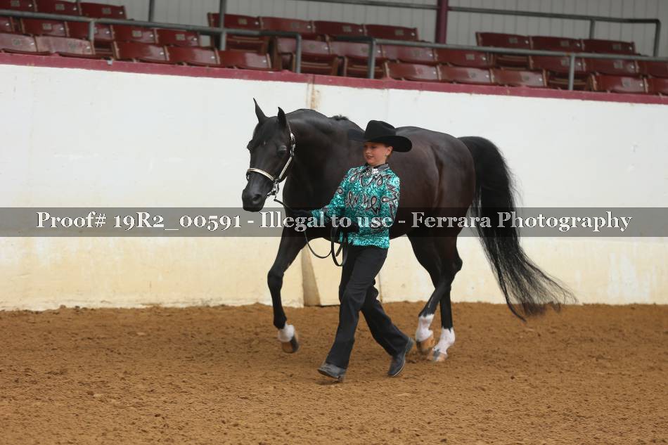 Proof 19R2_00591