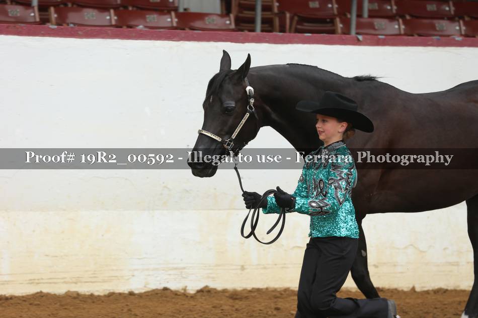 Proof 19R2_00592