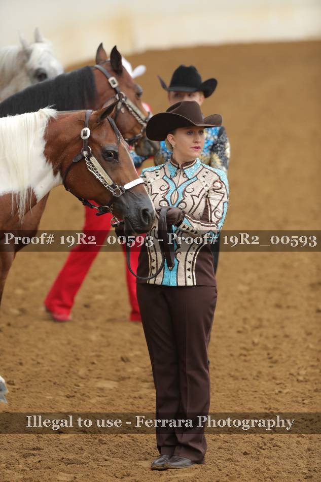 Proof 19R2_00593