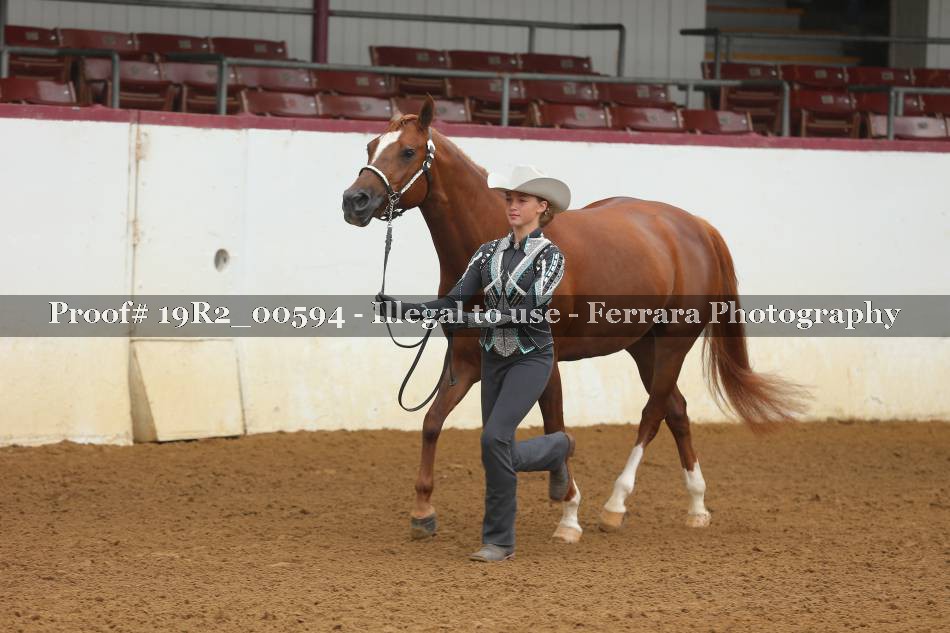 Proof 19R2_00594