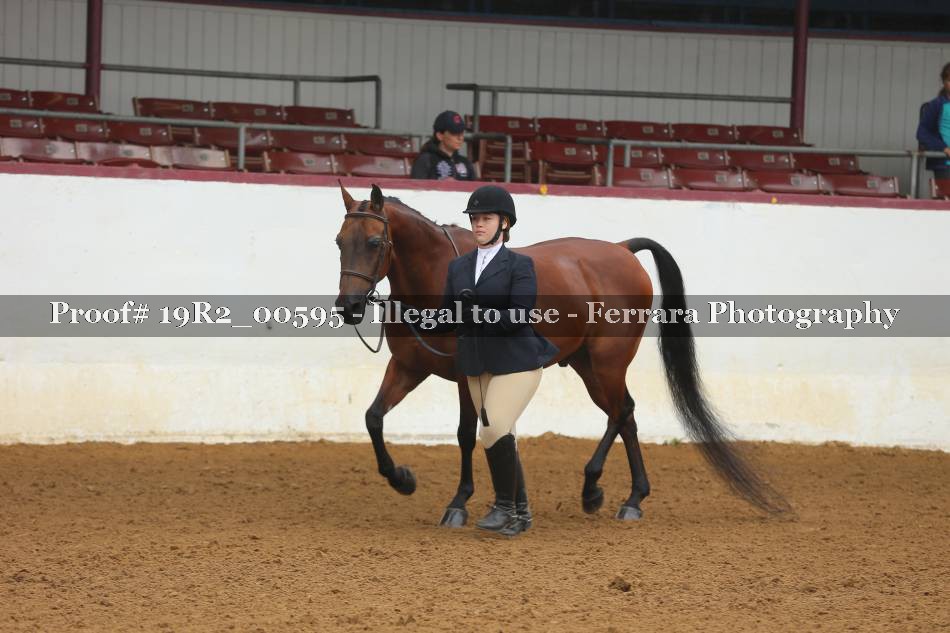 Proof 19R2_00595