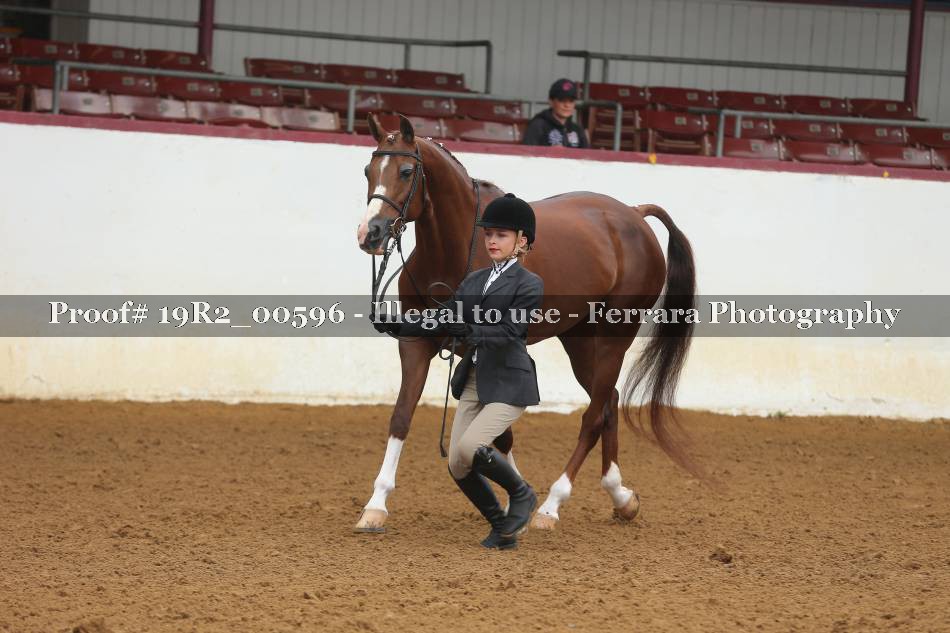 Proof 19R2_00596