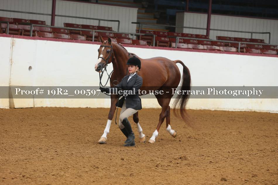 Proof 19R2_00597
