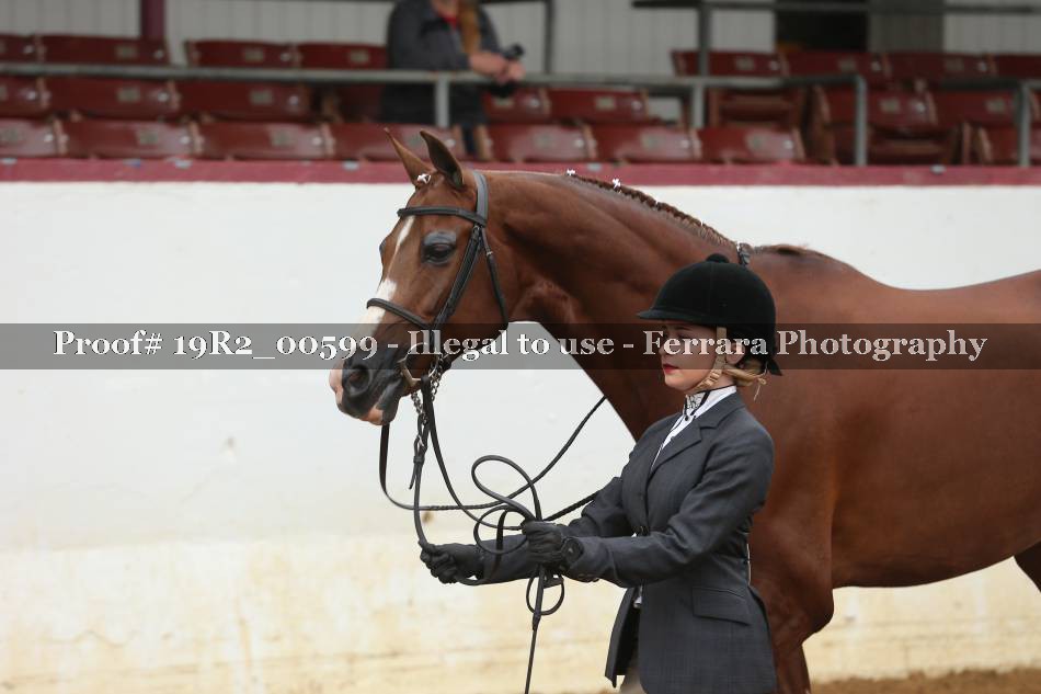 Proof 19R2_00599