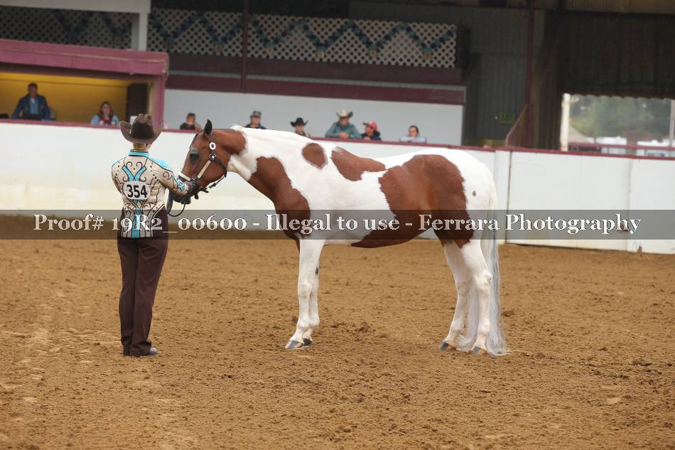 Proof 19R2_00600