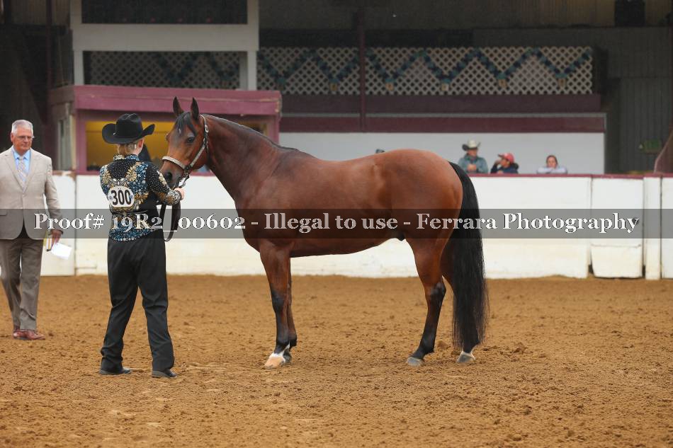 Proof 19R2_00602