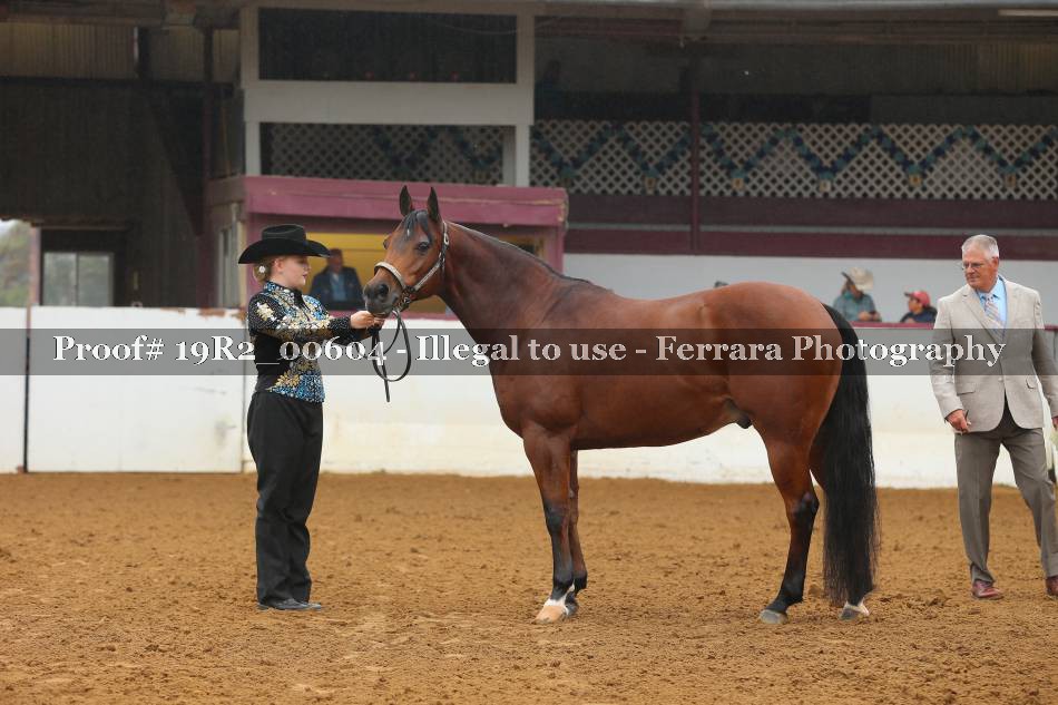 Proof 19R2_00604