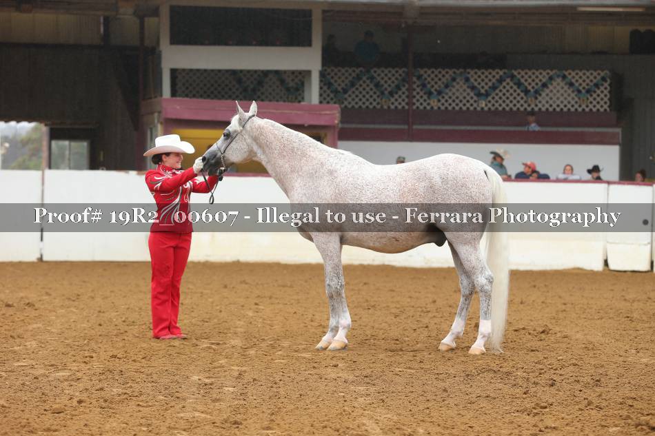 Proof 19R2_00607