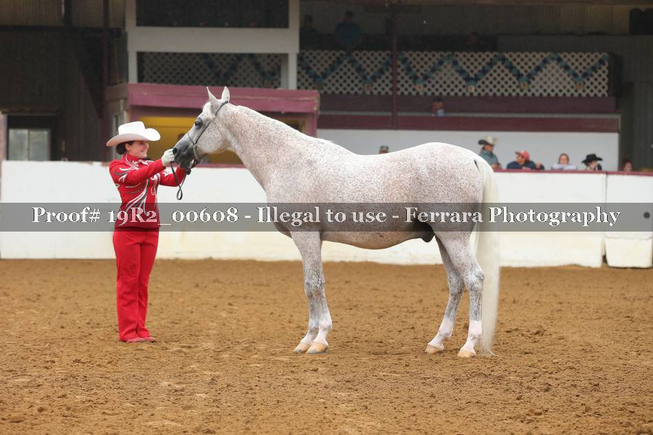 Proof 19R2_00608