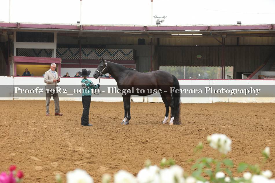 Proof 19R2_00610