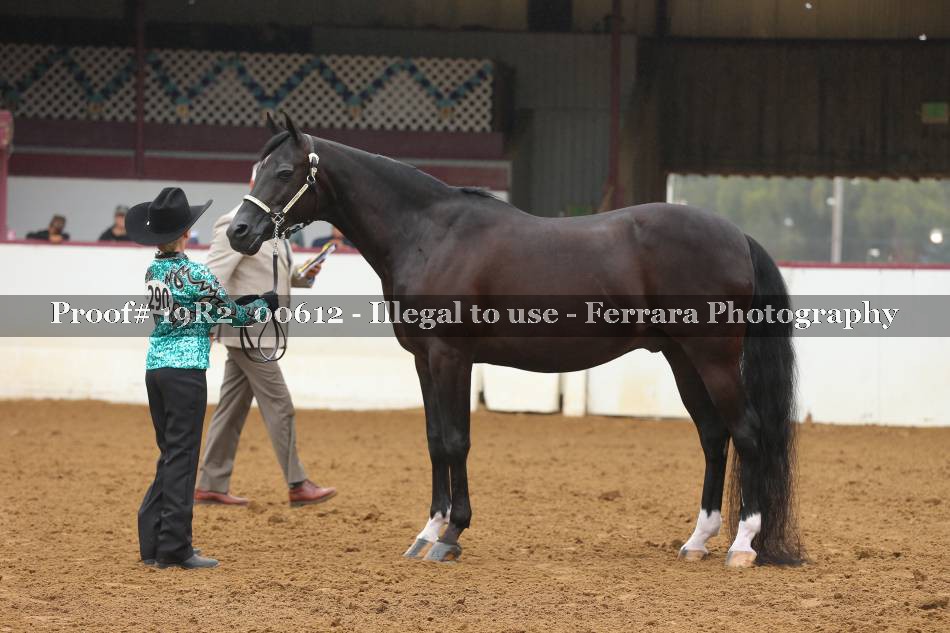 Proof 19R2_00612