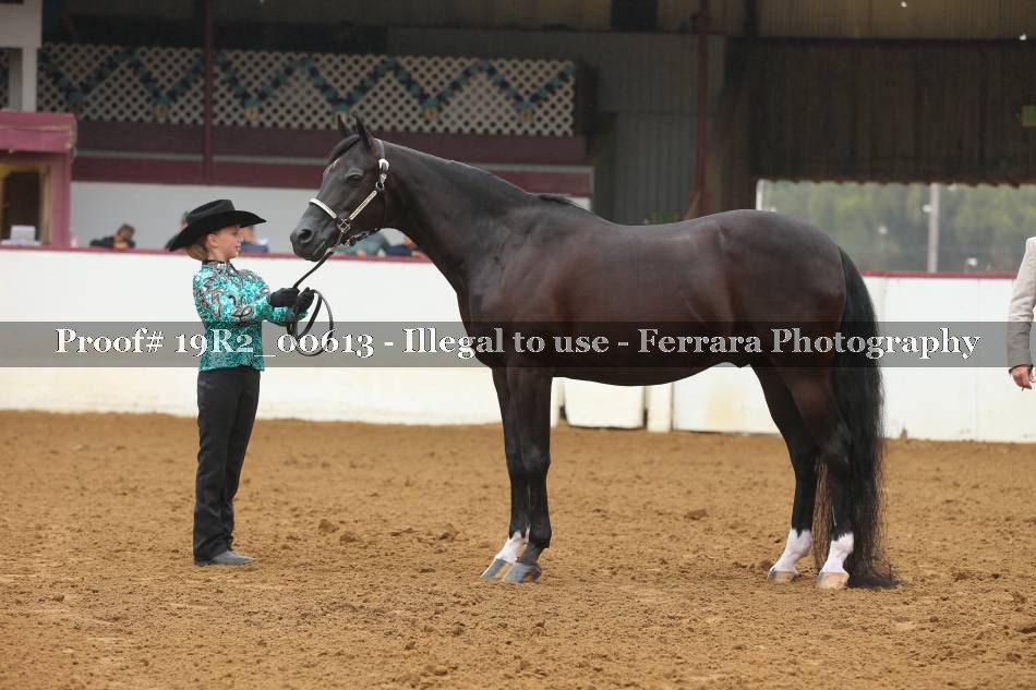 Proof 19R2_00613