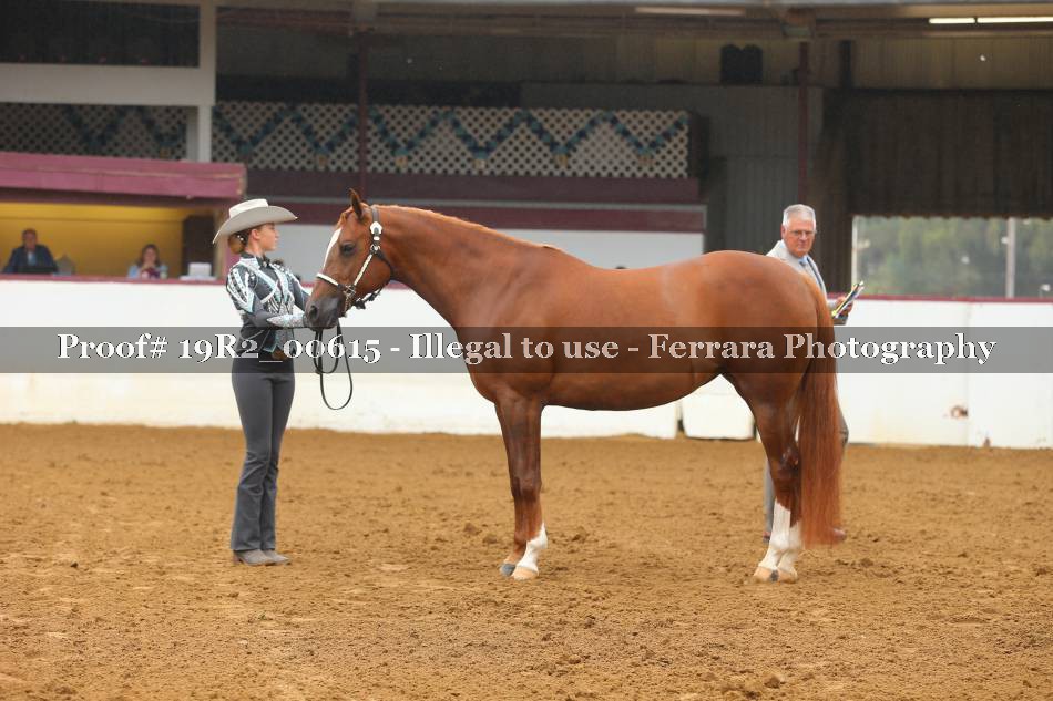 Proof 19R2_00615