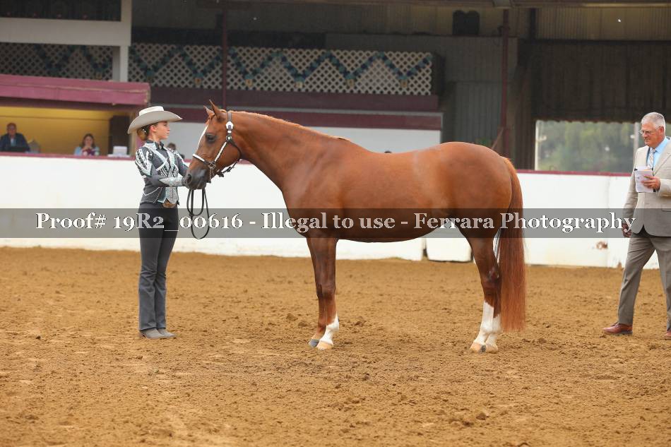 Proof 19R2_00616