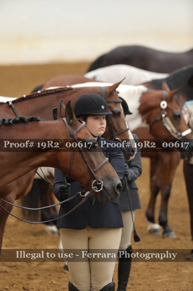 Proof 19R2_00617