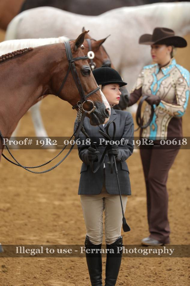 Proof 19R2_00618
